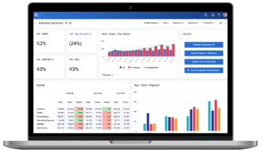 Anaplan Strengths