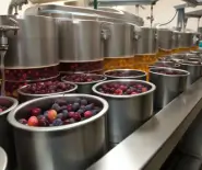 bev processing