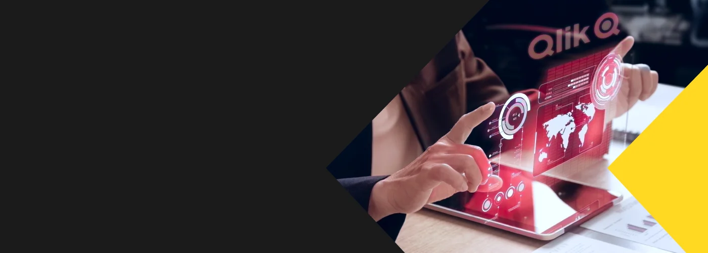 Qlik Solution Provider